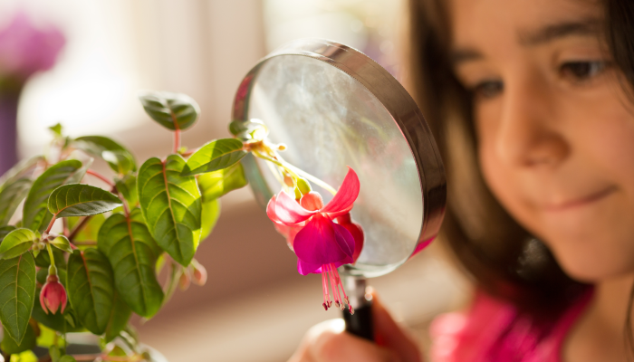 Projekt bez nazwy (10)