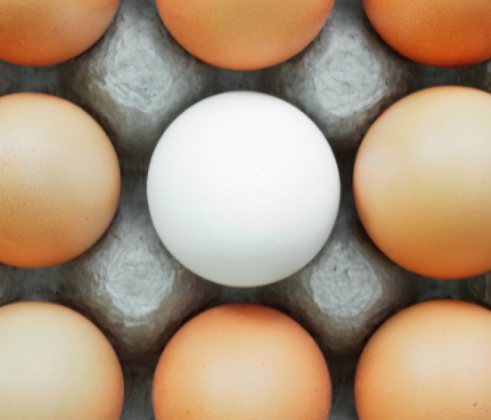 Projekt bez nazwy (6)