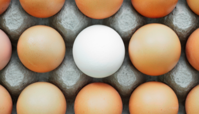 Projekt bez nazwy (6)