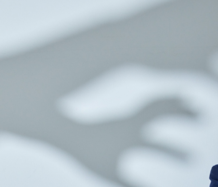 Projekt bez nazwy (7)