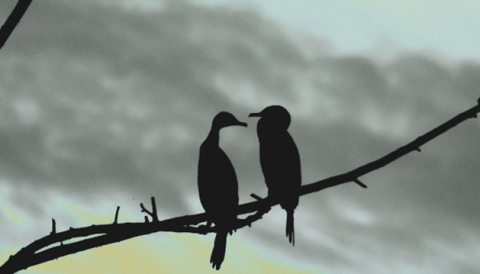 Projekt bez nazwy (9)