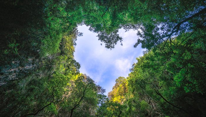 Życie to proces odkrywania Siebie